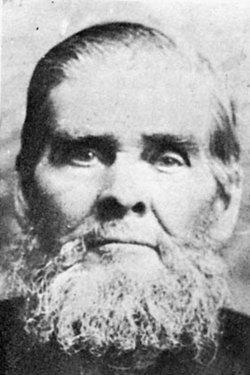 Andrew Jackson Workman (1824 - 1909) Profile